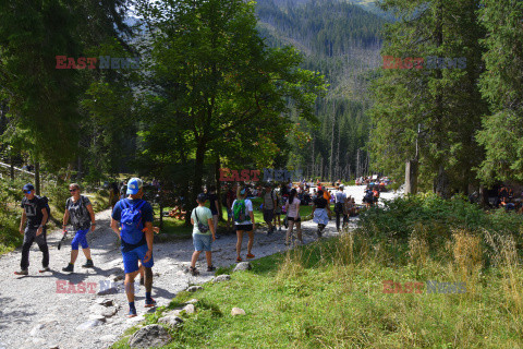 Polskie Tatry Albin Marciniak