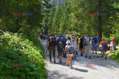 Polskie Tatry Albin Marciniak