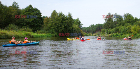 Splyw kajakowy Pilica