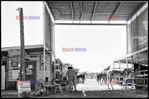 Arizona Black Rodeo - Rex Features