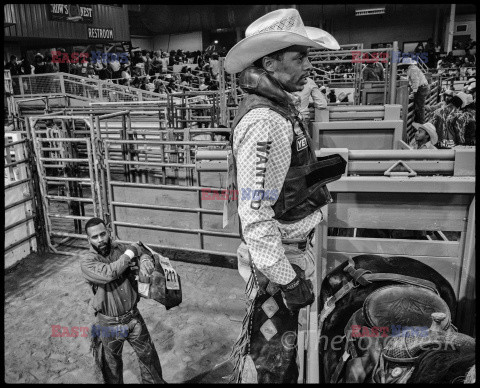 Arizona Black Rodeo - Rex Features