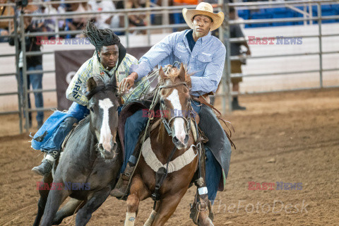 Arizona Black Rodeo - Rex Features