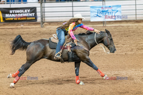 Arizona Black Rodeo - Rex Features