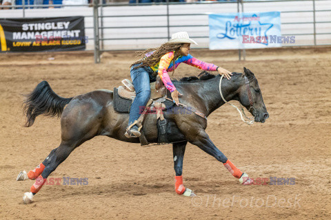 Arizona Black Rodeo - Rex Features