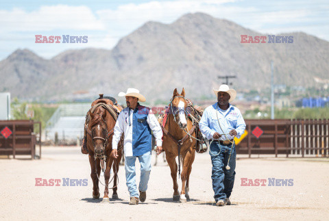 Arizona Black Rodeo - Rex Features