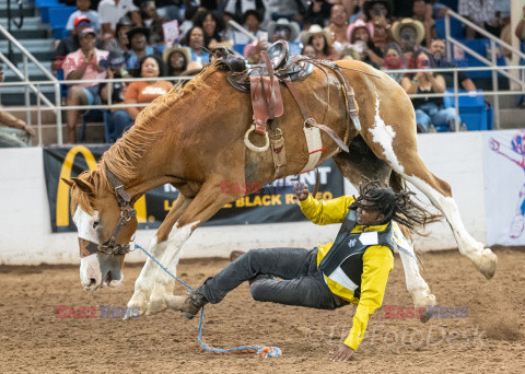 Arizona Black Rodeo - Rex Features