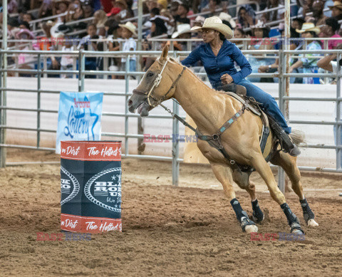 Arizona Black Rodeo - Rex Features