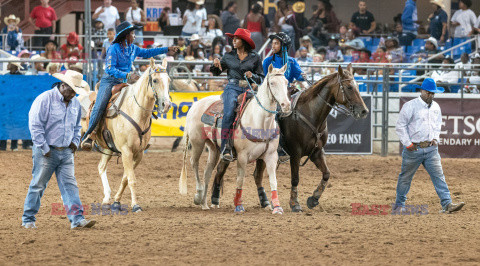 Arizona Black Rodeo - Rex Features