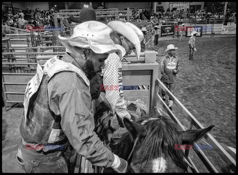 Arizona Black Rodeo - Rex Features