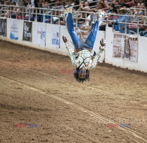 Arizona Black Rodeo - Rex Features