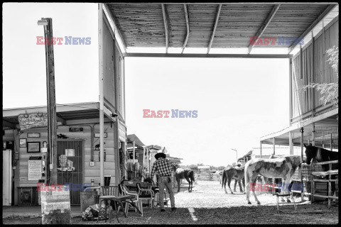 Arizona Black Rodeo - Rex Features