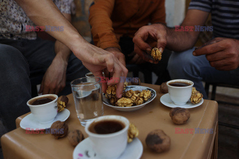 Zbiory orzechów w syryjskim Idlib