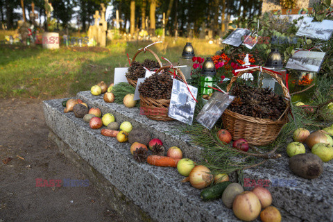 Niecodzienne przystrojenie grobu weteranów