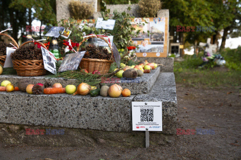 Niecodzienne przystrojenie grobu weteranów