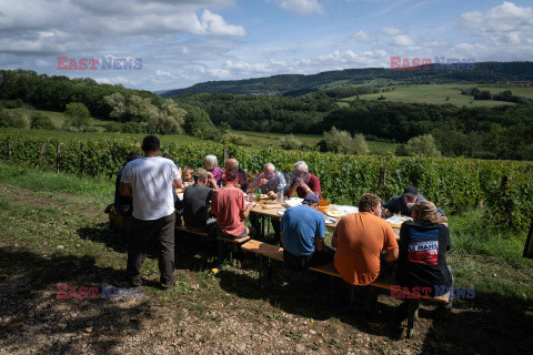 Winnica Pinot Noir we Francji- AFP