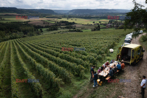 Winnica Pinot Noir we Francji- AFP