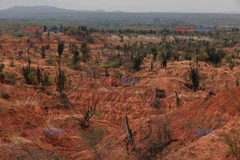 Pustynia Tatacoa miejscem światowego dziedzictwa geologicznego