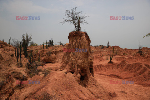 Pustynia Tatacoa miejscem światowego dziedzictwa geologicznego