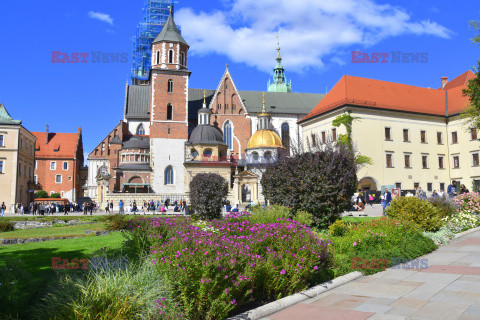 Kraków Albin Marciniak