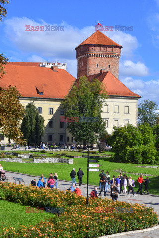 Kraków Albin Marciniak