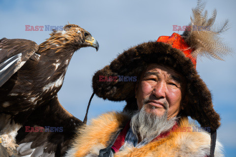 Polowanie z orłami w Mongolii