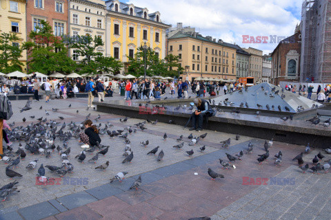 Fontannę na krakowskim Rynku czeka kosztowny remont?