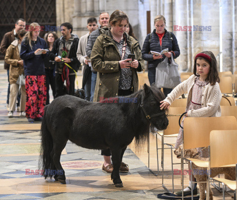 Zwierzęta biorą udział w specjalnym nabożeństwie w katedrze w Ely