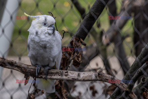 Nowa Ptaszarnia w krakowskim ZOO