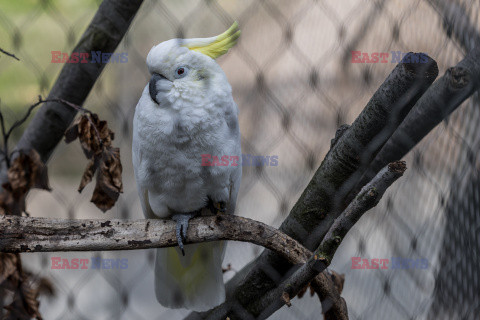 Nowa Ptaszarnia w krakowskim ZOO