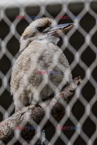 Nowa Ptaszarnia w krakowskim ZOO