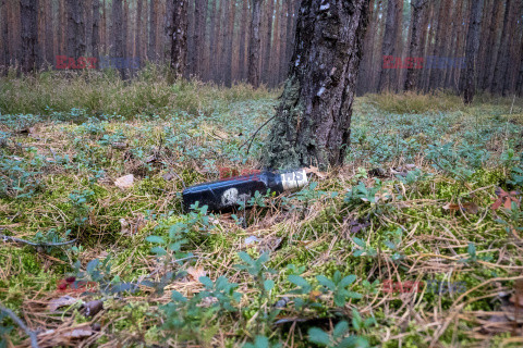 Leśne spacery w poszukiwaniu grzybów