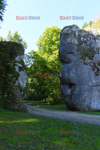 Małopolska Albin Marciniak