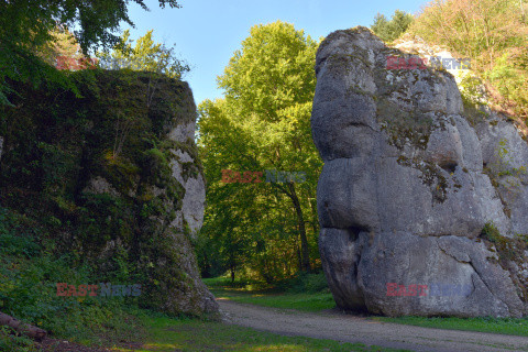 Małopolska Albin Marciniak