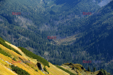 Tatry Słowackie Albin Marciniak