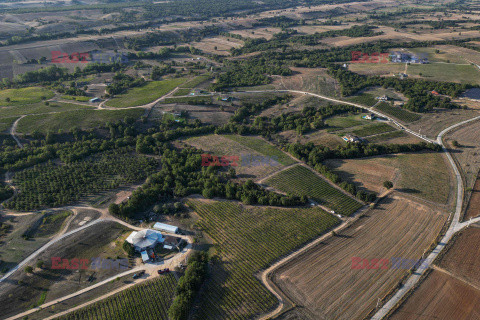 Tureccy winiarze uprawiają międzynarodowe odmiany winorośli