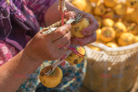 Suszenie owoców kaki