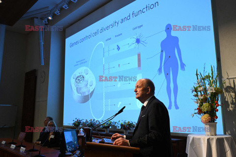 Nobel 2024 - medycyna