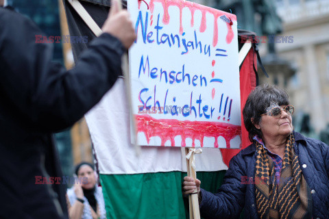 Pro-Palestyńska demonstracja w Berlinie