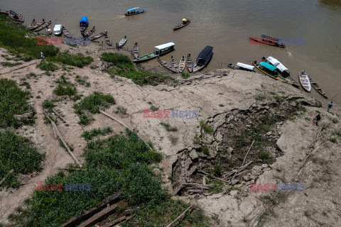 Amazonka umiera z powodu suszy - AFP