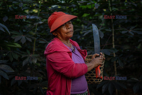 Amazonka umiera z powodu suszy - AFP