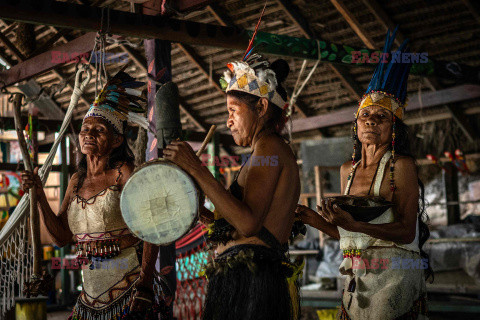 Amazonka umiera z powodu suszy - AFP