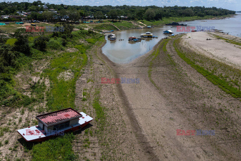 Amazonka umiera z powodu suszy - AFP