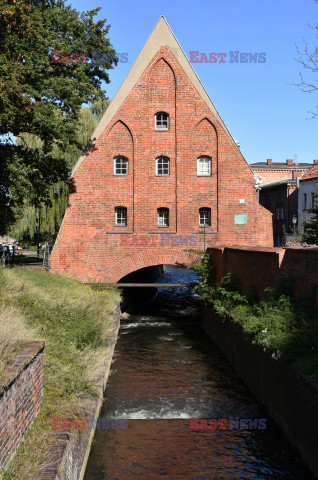 Gdańsk Albin Marciniak