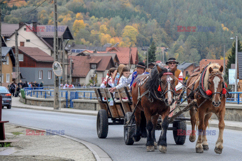 Redyk Jesienny w Szczawnicy