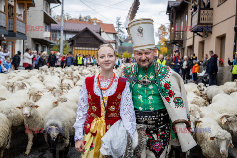 Redyk Jesienny w Szczawnicy