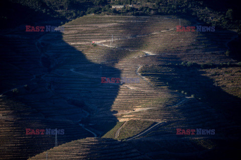 Porto z doliny Douro