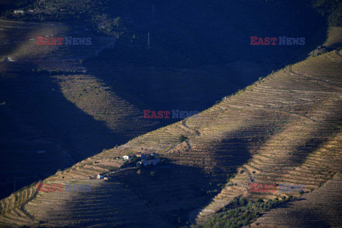 Porto z doliny Douro