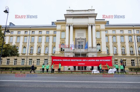 Greenpeace Polska z petycją do premiera