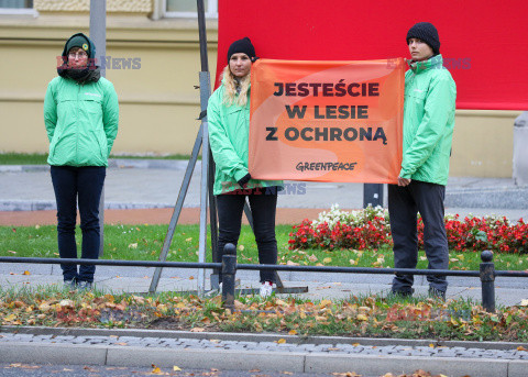 Greenpeace Polska z petycją do premiera