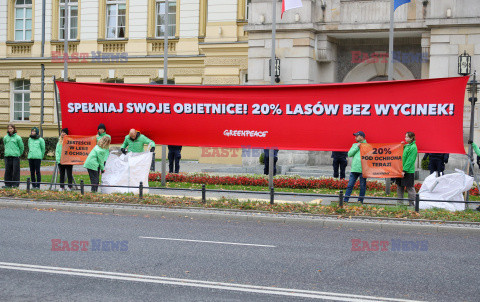 Greenpeace Polska z petycją do premiera